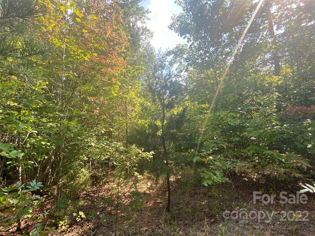 V/l West Payne Road, Unit 2A Marion, NC 28752 - Photo 2 of 13 Gallery Image 2