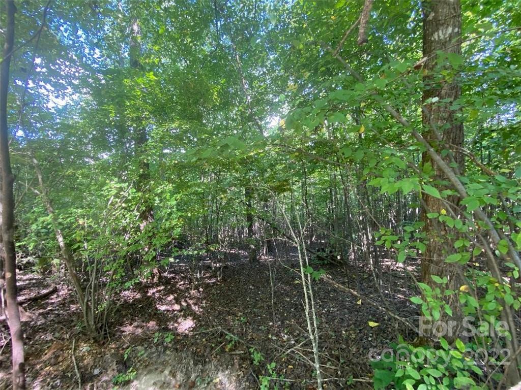 V/l West Payne Road, Unit 2A Marion, NC 28752 - Photo 5 of 13 Gallery Image 5