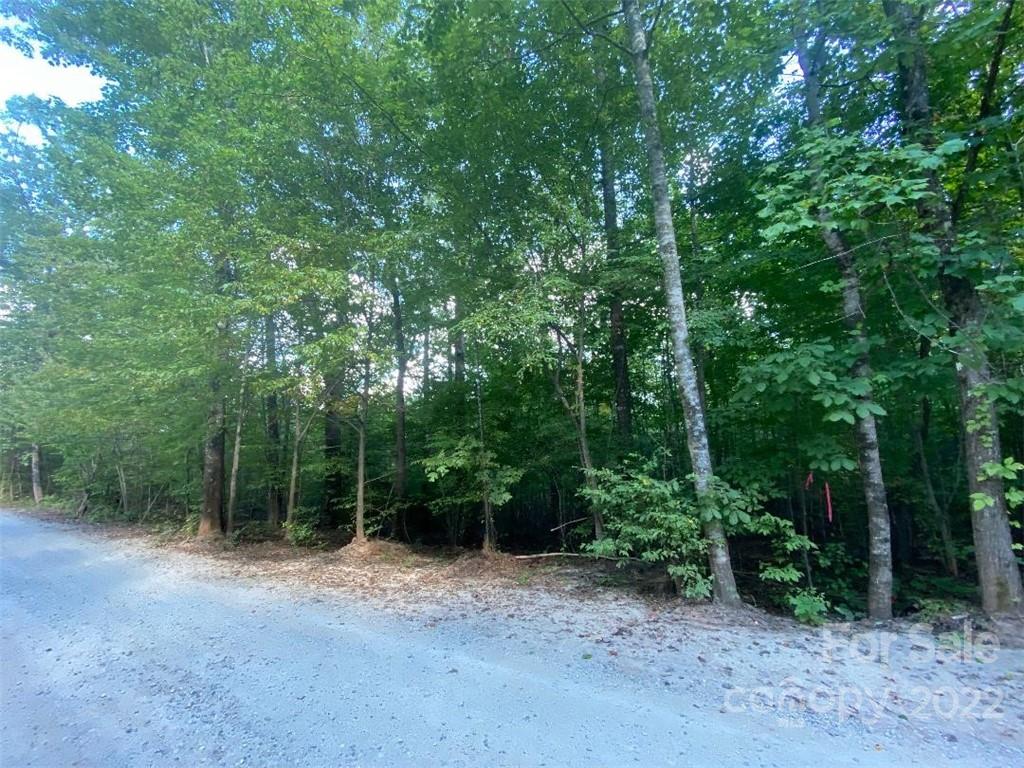 V/l West Payne Road, Unit 2A Marion, NC 28752 - Photo 6 of 13 Gallery Image 6