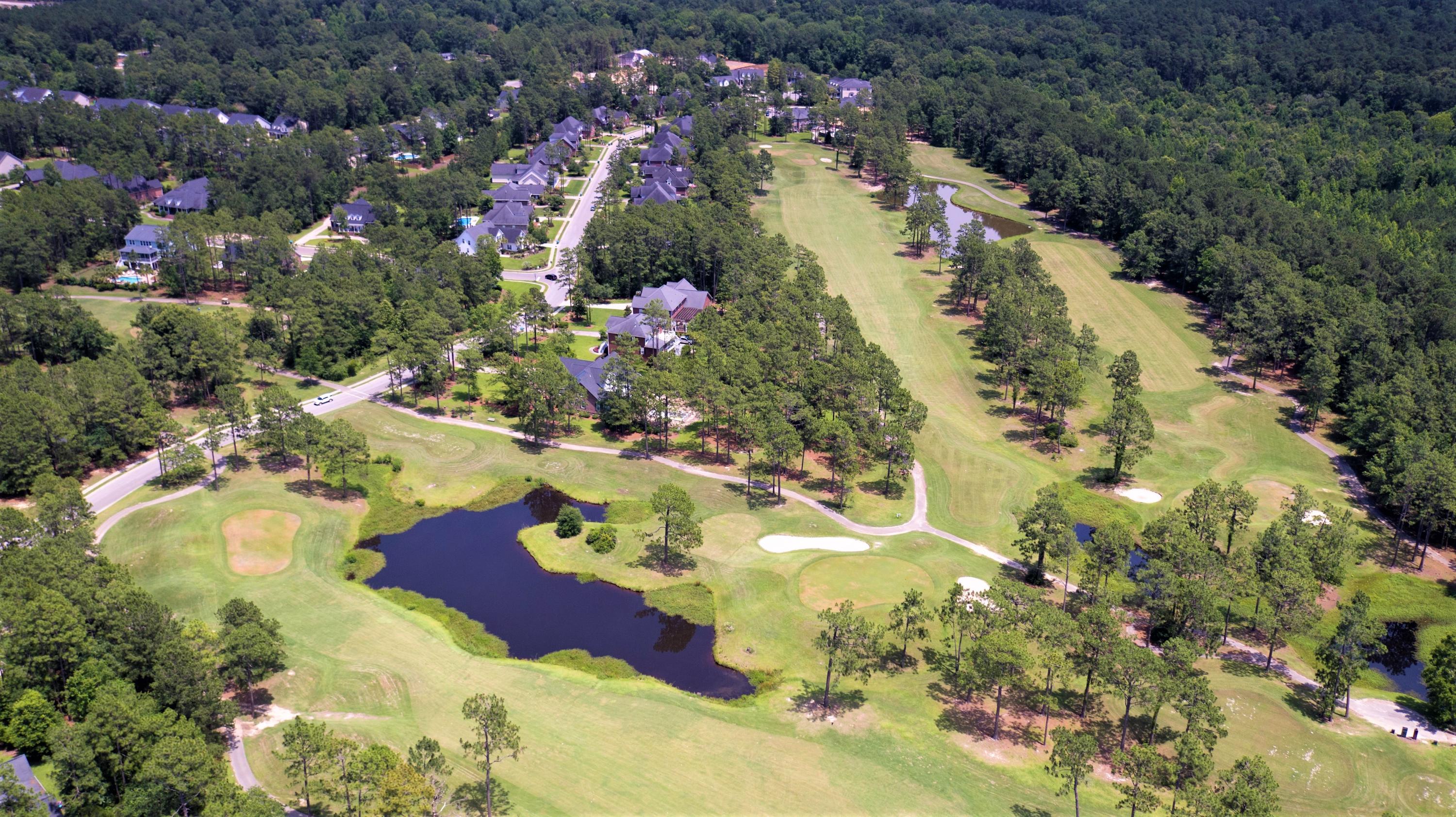 610 Kilarney Road Summerville, SC 29483 - Photo 40 of 43 PForest 4