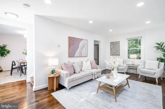 a living room with a couch and a potted plant