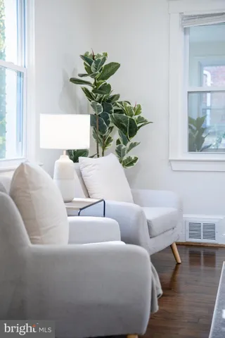 a living room with furniture and a potted plant