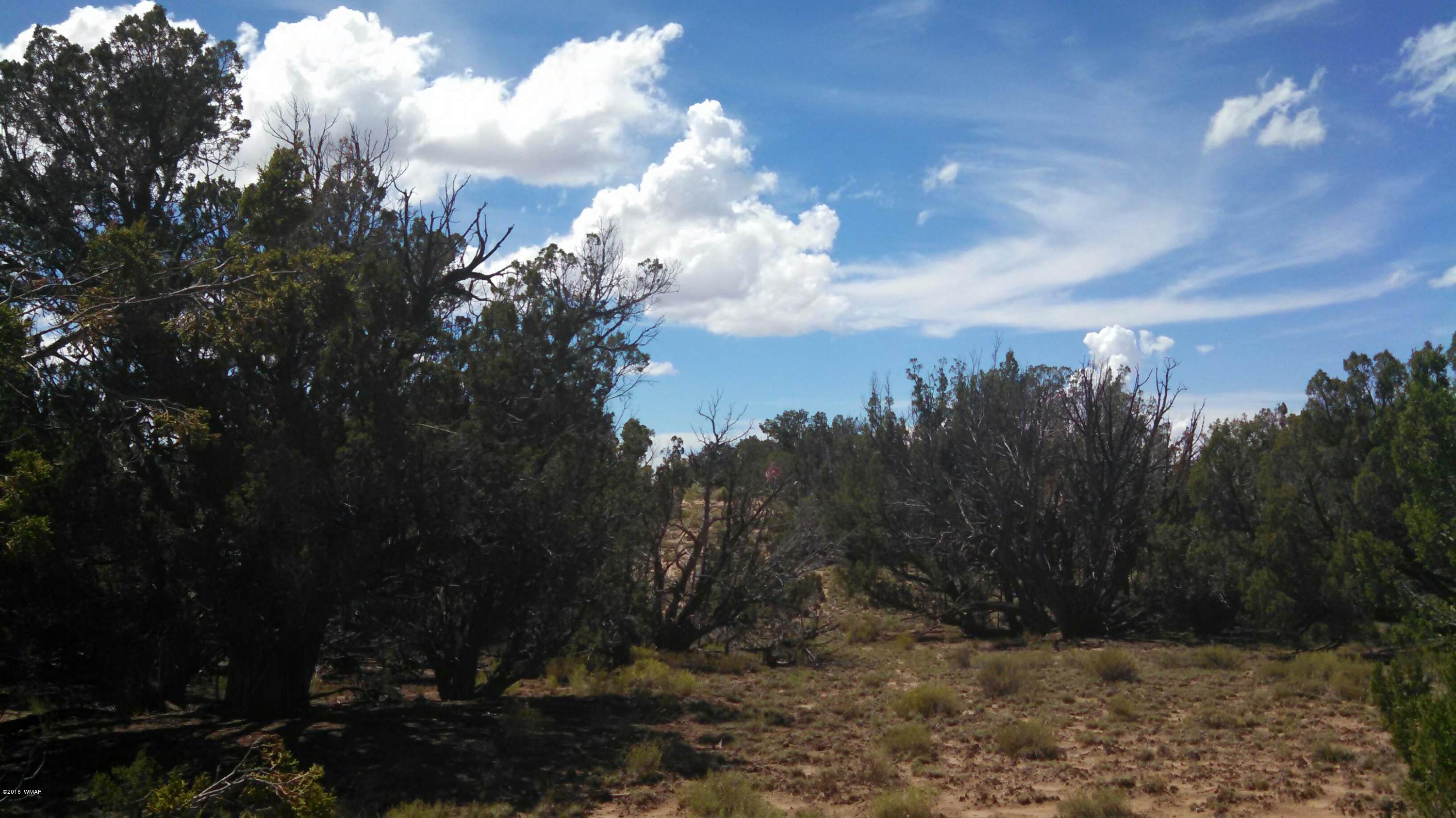 13 C T17n R27e Sec 15 Chambers, AZ 86502 - Photo 3 of 6
