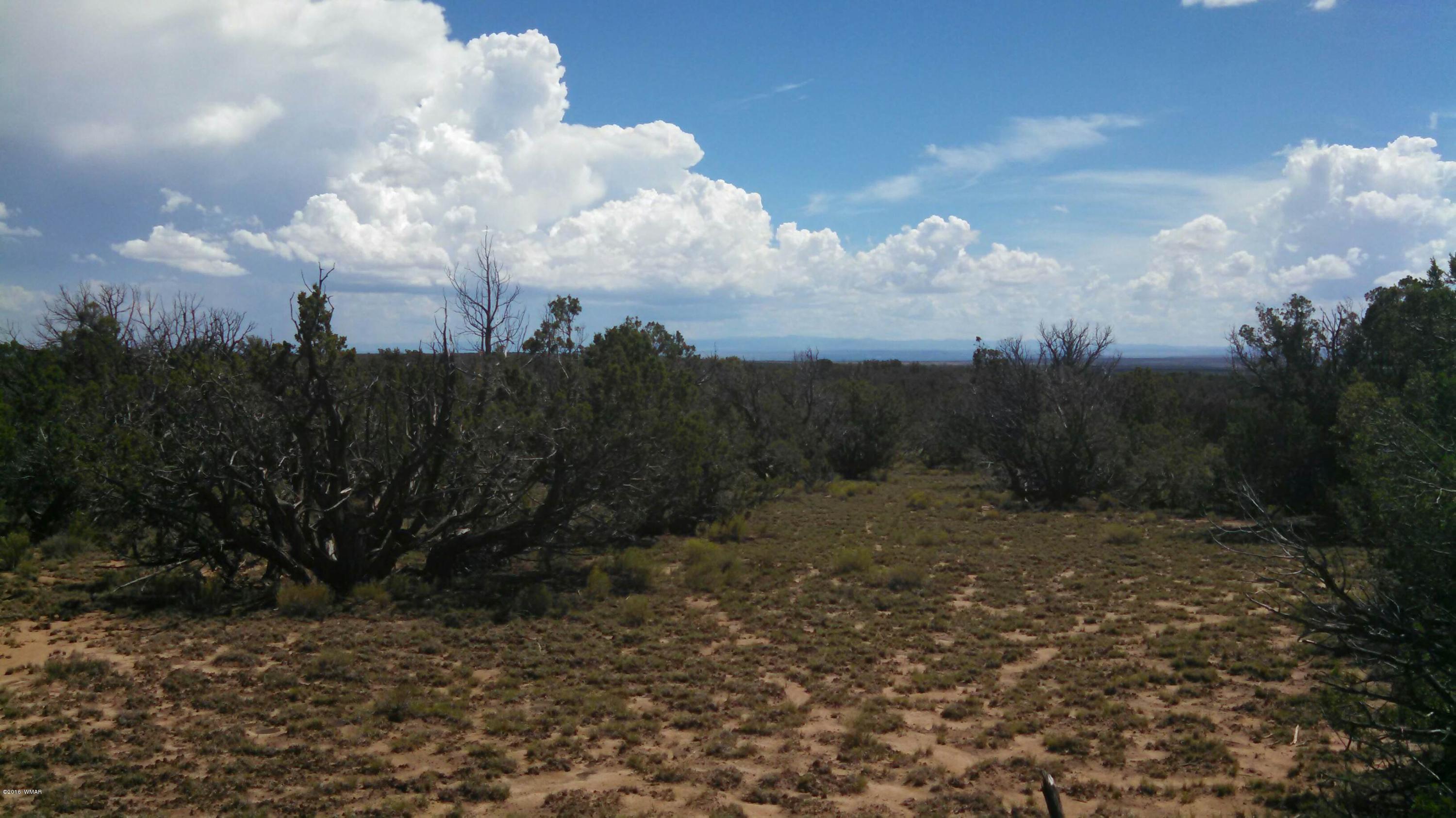 13 C T17n R27e Sec 15 Chambers, AZ 86502 - Photo 4 of 6