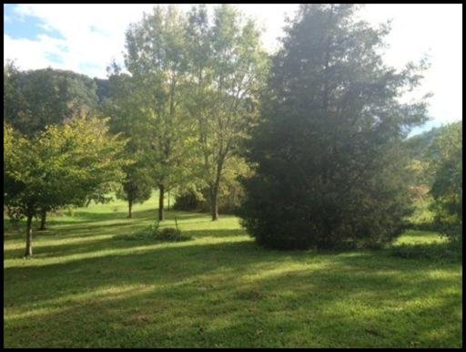 817 Beard Valley Road Maynardville, TN 37807 - Photo 5 of 5 Additional Photo