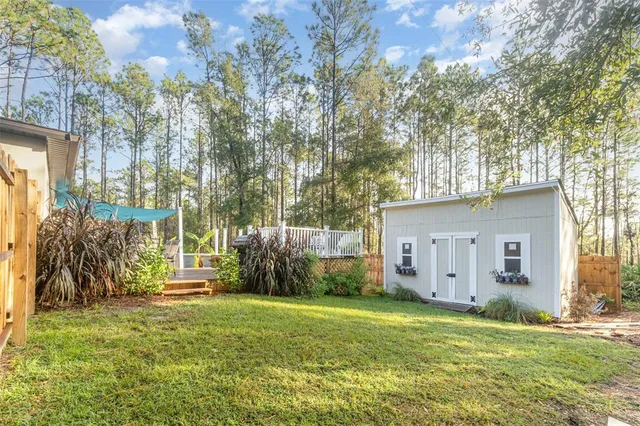 a view of a backyard with plants and large trees