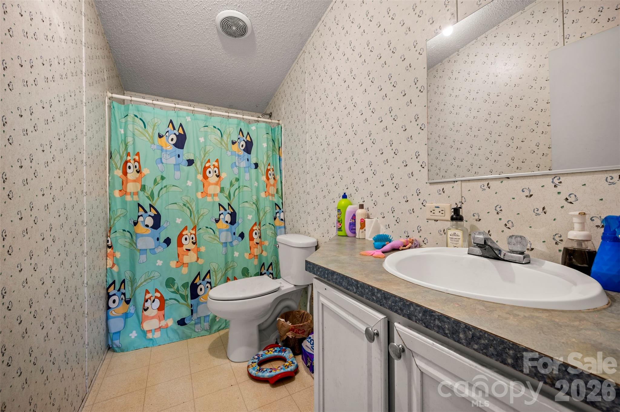 220 Mt Harmony Church Road Lawndale, NC 28090 - Photo 19 of 48 a bathroom with a sink a toilet and shower curtain
