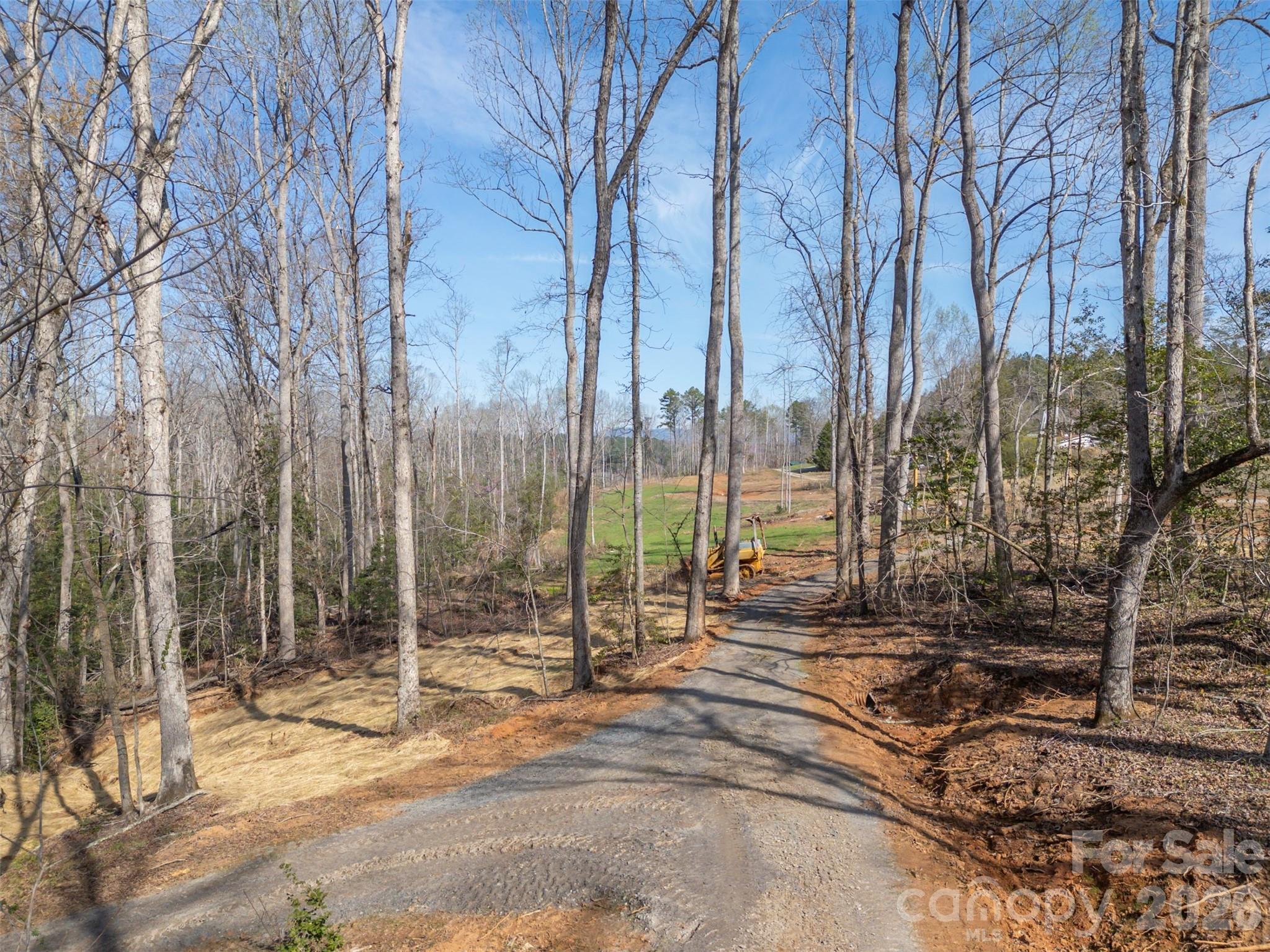 220 Mt Harmony Church Road Lawndale, NC 28090 - Photo 41 of 48 a row of trees with yard
