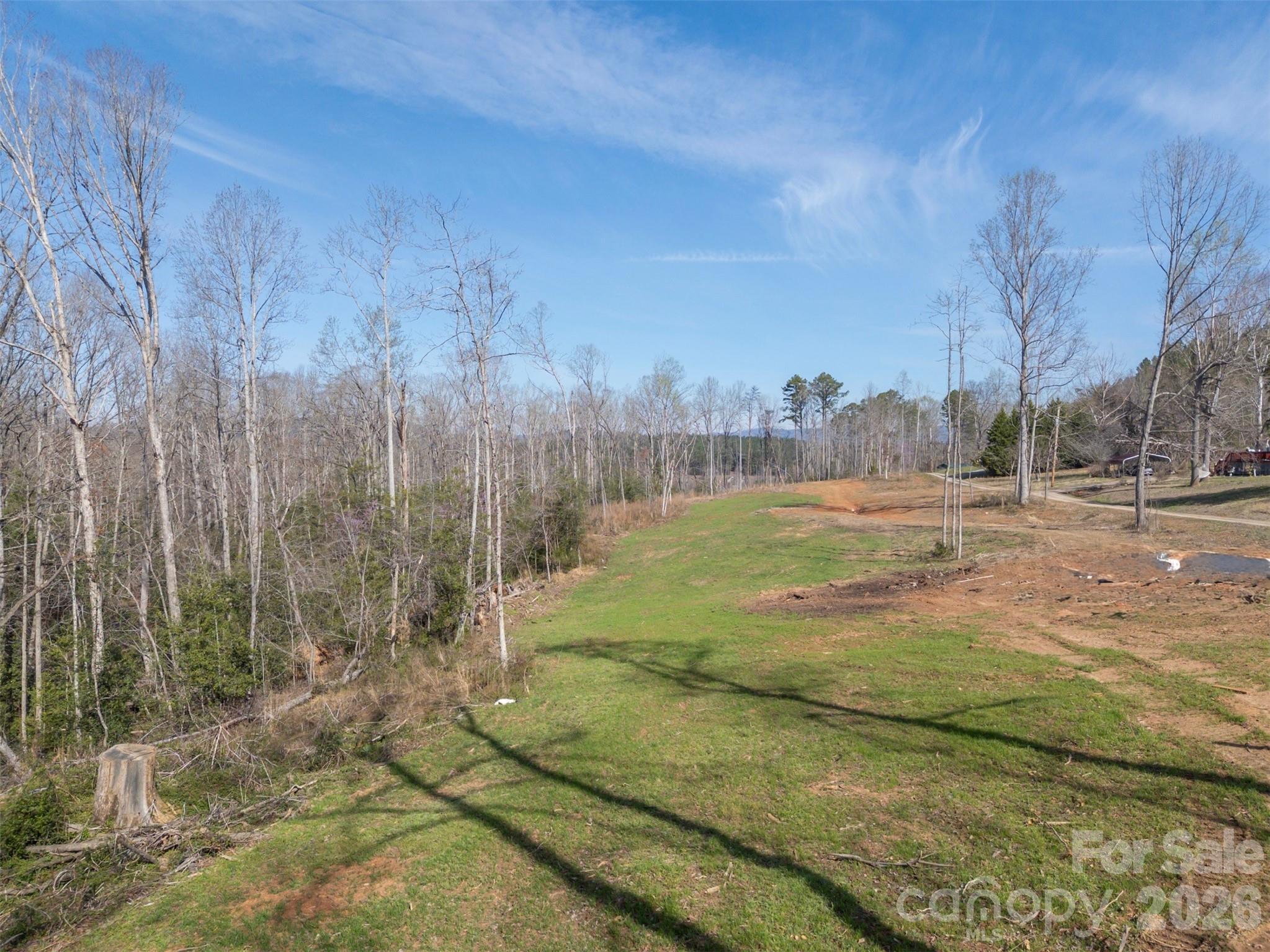 220 Mt Harmony Church Road Lawndale, NC 28090 - Photo 42 of 48 a view of a yard