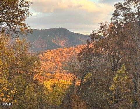 1016 Country Mountain Road Cosby, TN 37722 - Photo 52 of 53 Gallery Image 52