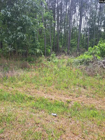 $64,000 | 460 Grover Wilson Road, Blythewood, SC 29016