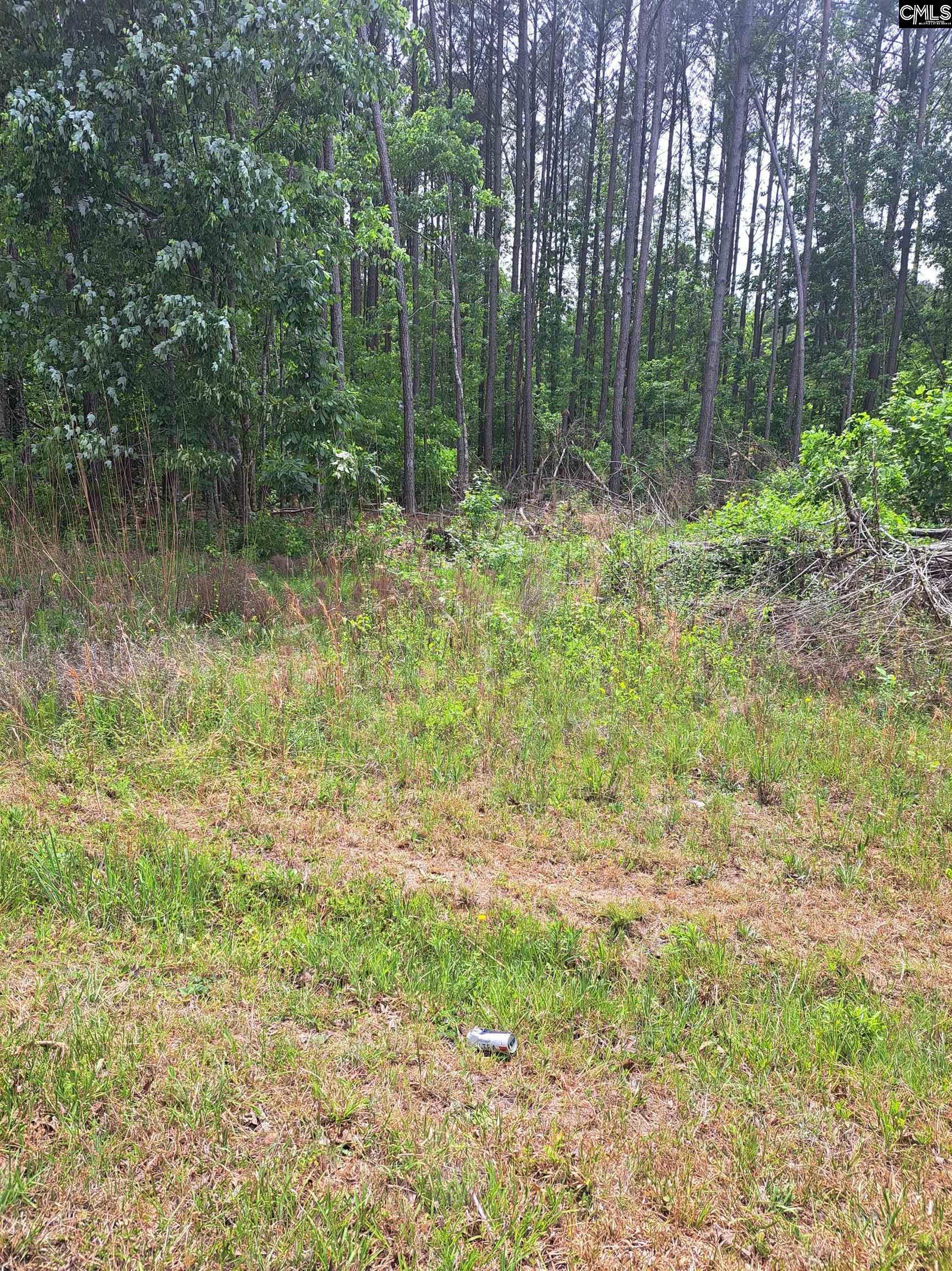 460 Grover Wilson Road Blythewood, SC 29016 - Photo 1 of 19