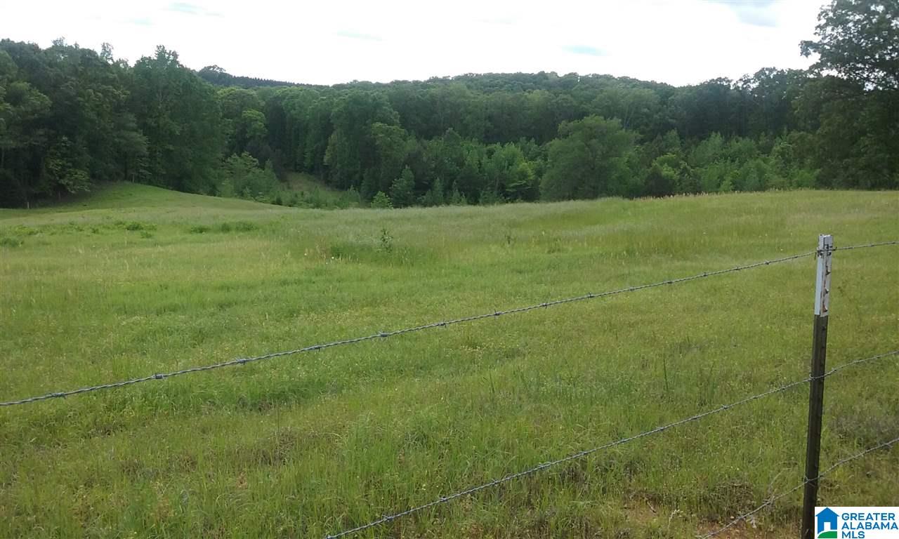 Old Jackson Road, Unit LEGAL Centreville, AL 35042 - Photo 5 of 11