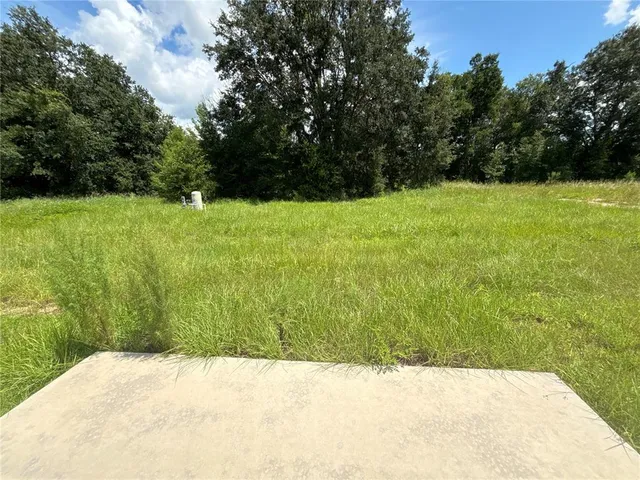 a backyard of a house with lots of green space