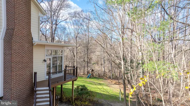 a view of a bench in middle of forest