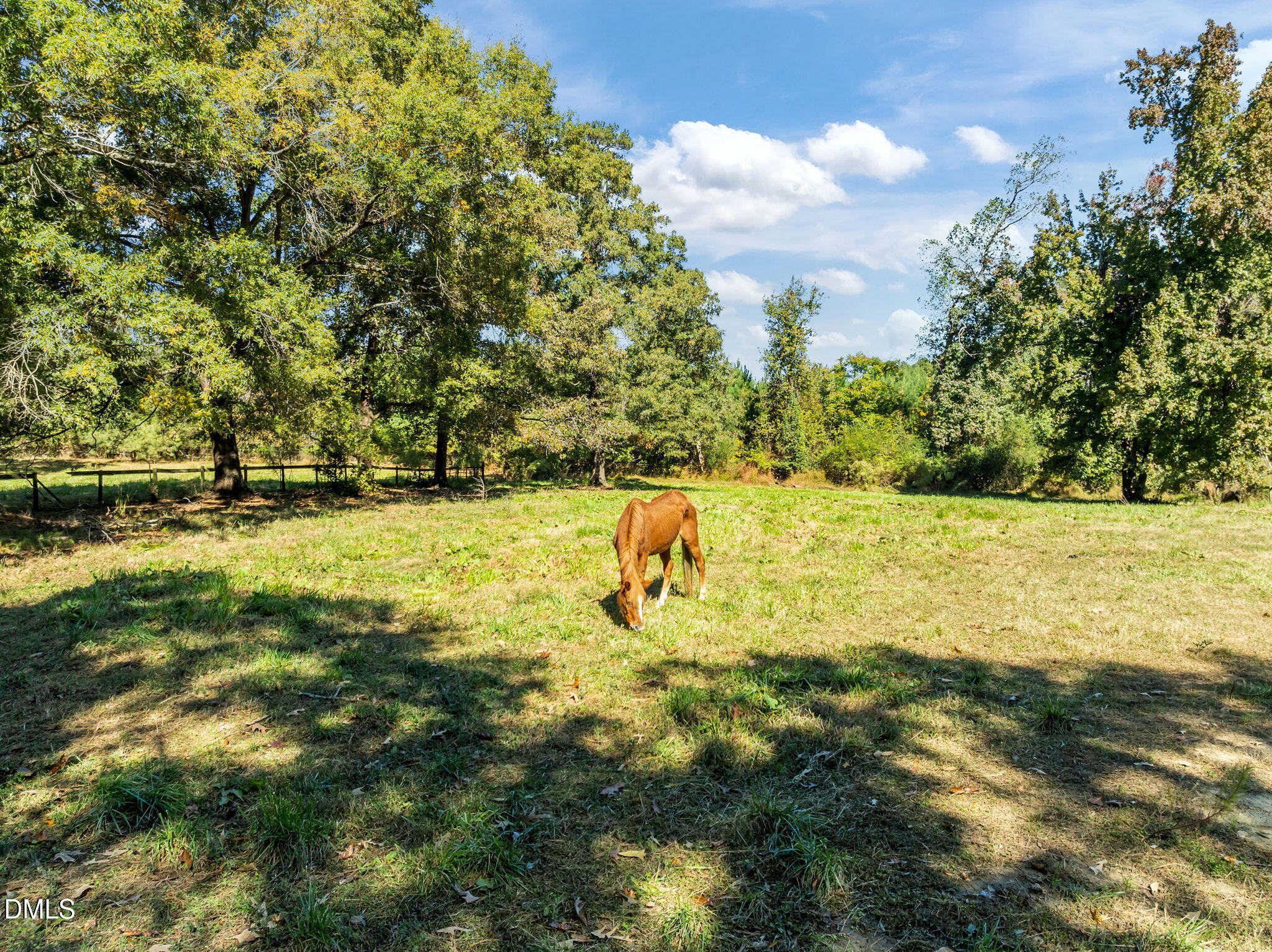3201 Carl Durham Road Chapel Hill, NC 27516 - Photo 15 of 61 17-web-or-mls-DJI_0208
