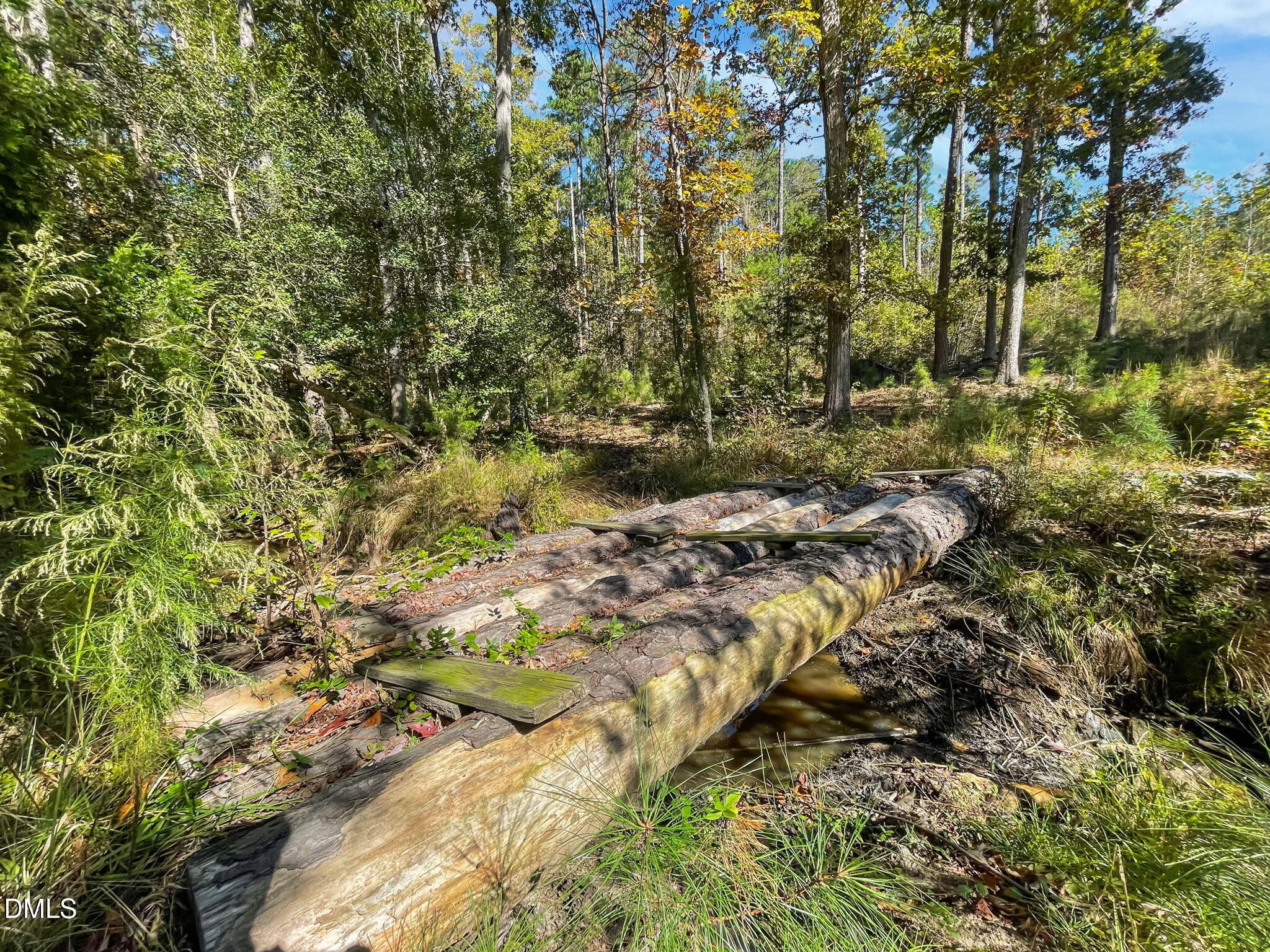 3201 Carl Durham Road Chapel Hill, NC 27516 - Photo 31 of 61 34-web-or-mls-IMG_5288