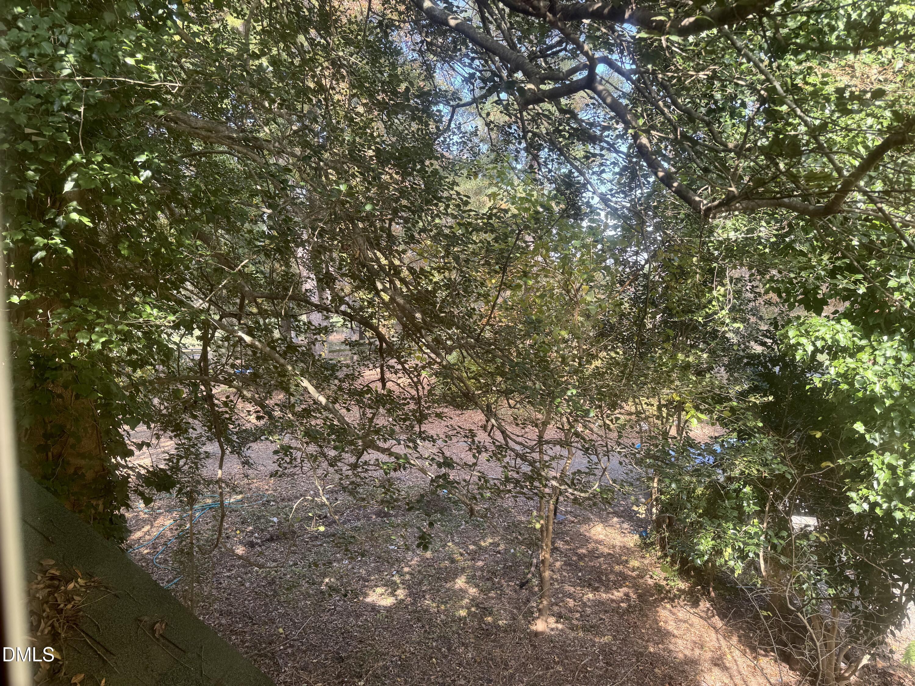 3201 Carl Durham Road Chapel Hill, NC 27516 - Photo 59 of 61 IMG_1175