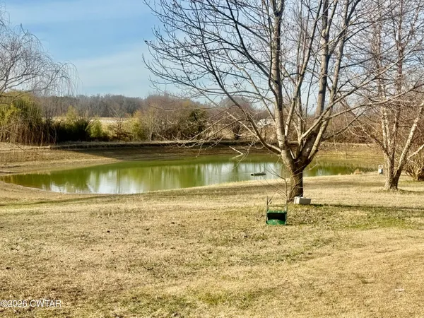 a view of a yard with a tree