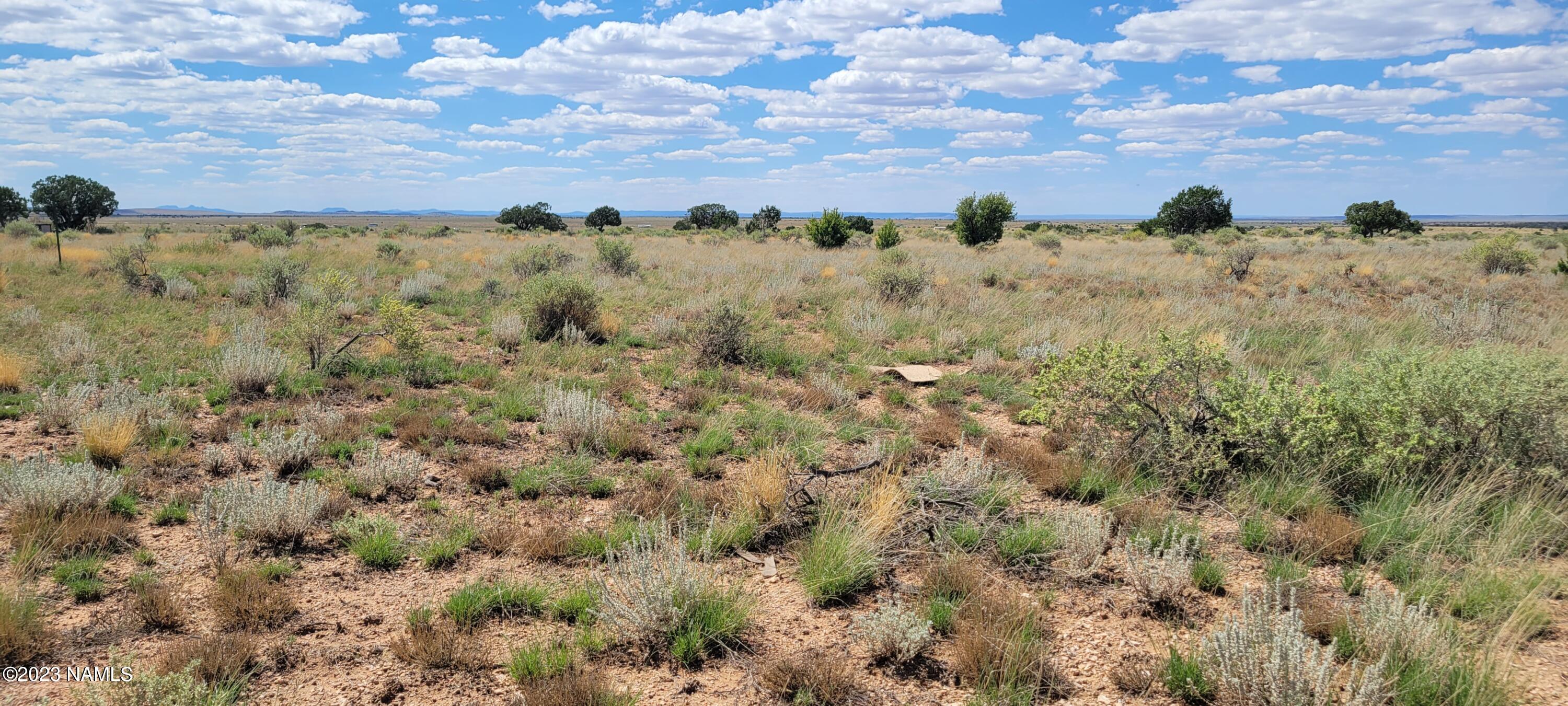 854 East Floye Road Williams, AZ 86046 - Photo 9 of 9 20230830_134058