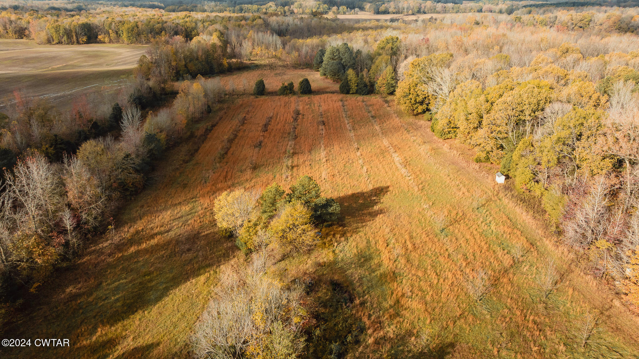 1209 Cotton Creek Road Gleason, TN 38229 - Photo 24 of 31 DJI_20241118084316_0018_D