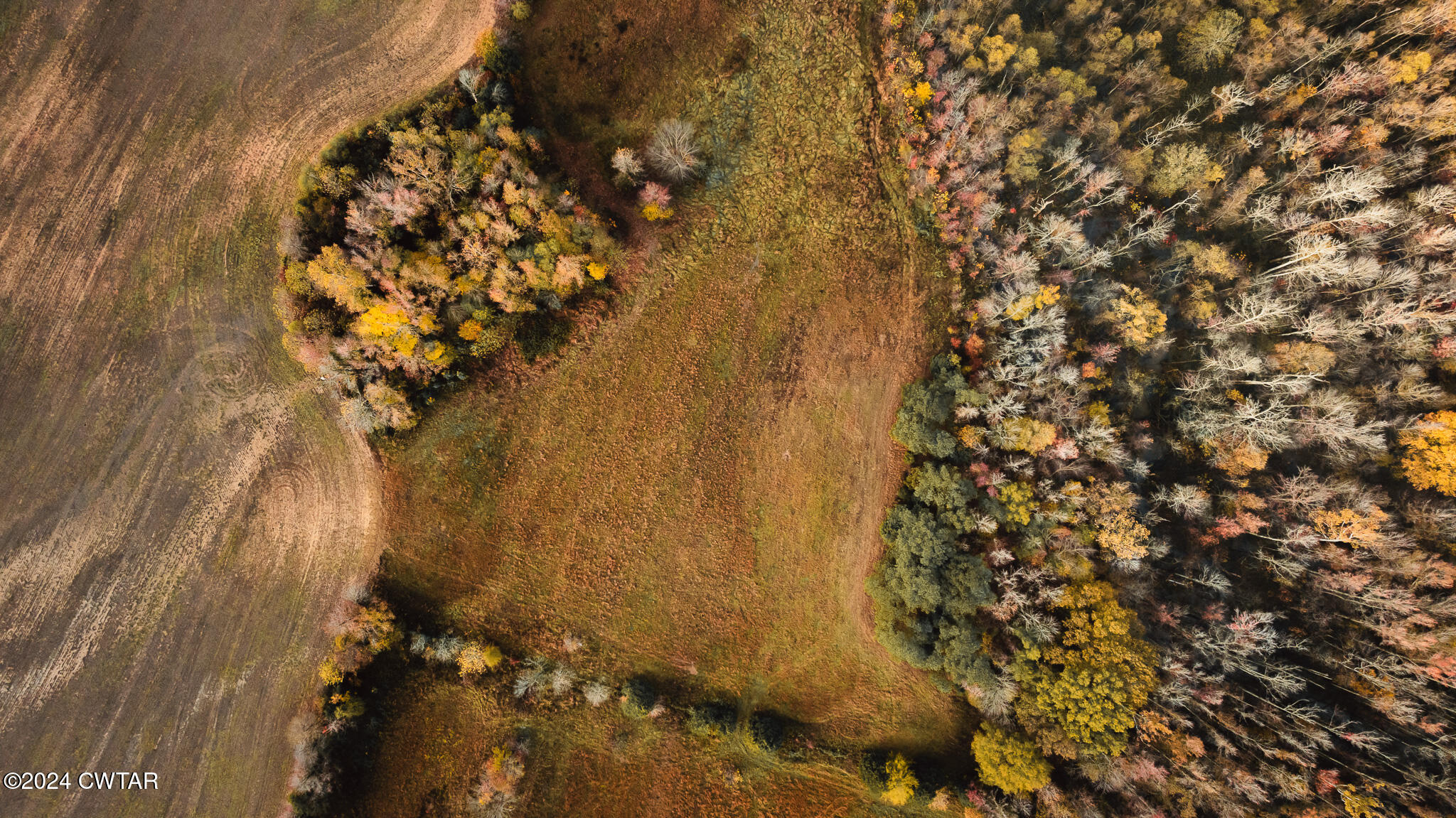 1209 Cotton Creek Road Gleason, TN 38229 - Photo 30 of 31 DJI_20241118083951_0007_D