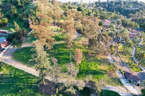 a view of a yard with plants