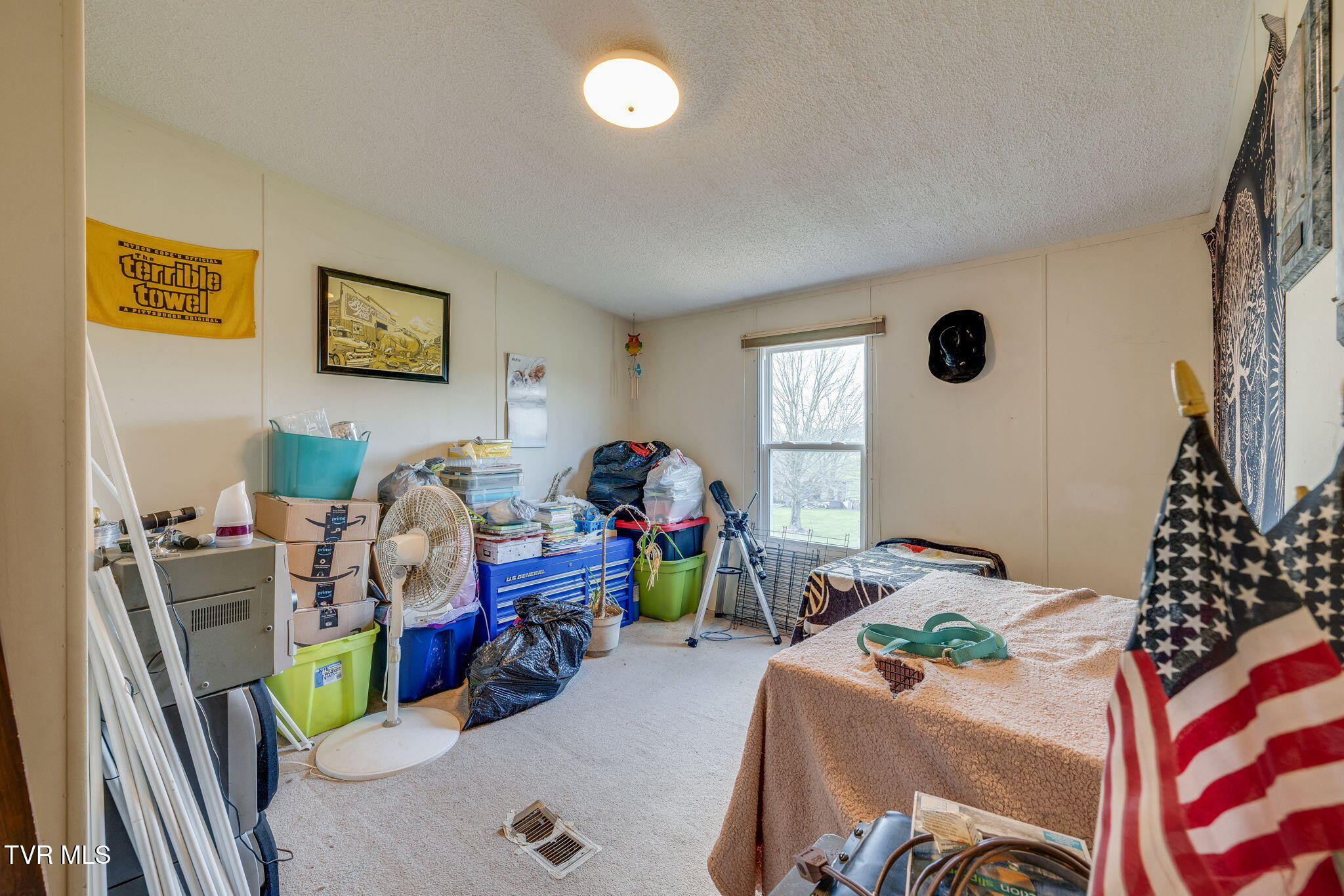 475 Bill West Road Limestone, TN 37681 - Photo 8 of 30 025