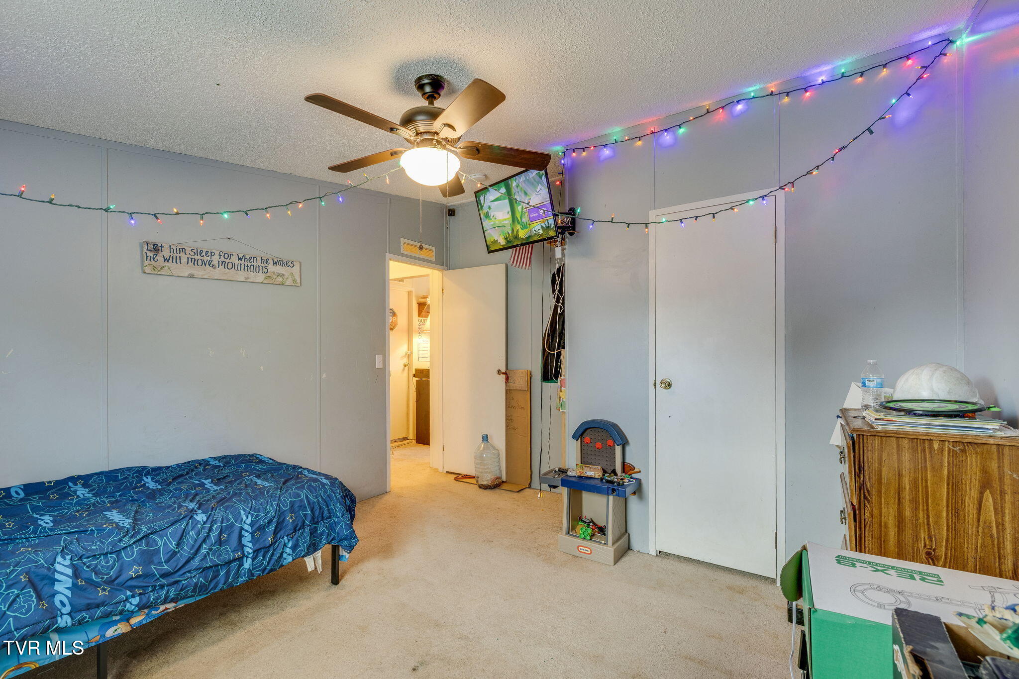 475 Bill West Road Limestone, TN 37681 - Photo 9 of 30 024