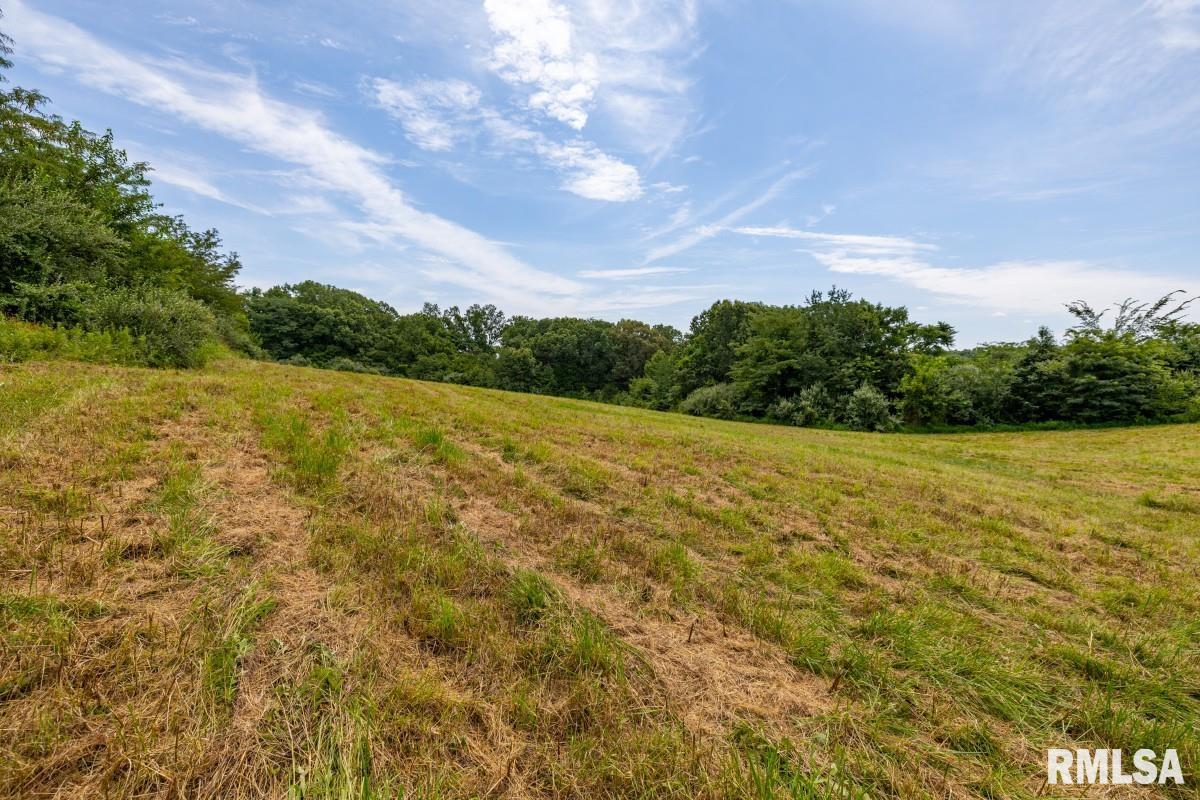 0 Robinson Hill Road Makanda, IL 62958 - Photo 27 of 29