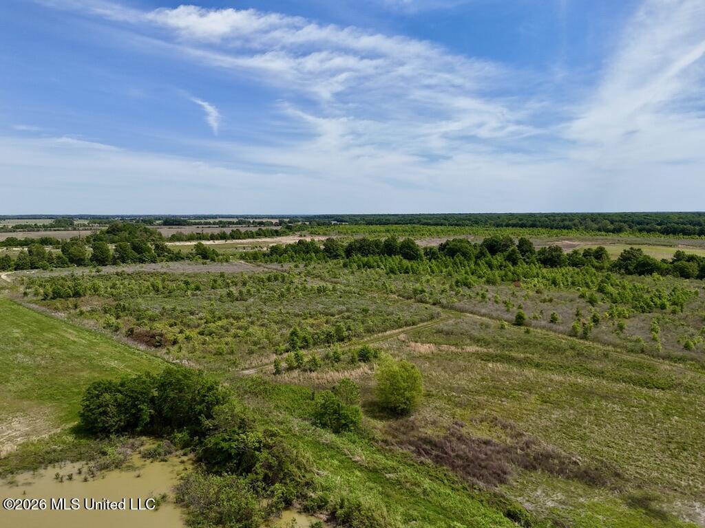 1 Highway 3 Lambert, MS 38643 - Photo 9 of 102 D8A51815-3E46-46F0-B5BF-C74CC73834D0_1_1