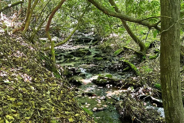 $19,500 | Lot 8 Moore Acres, Hayesville, NC 28904