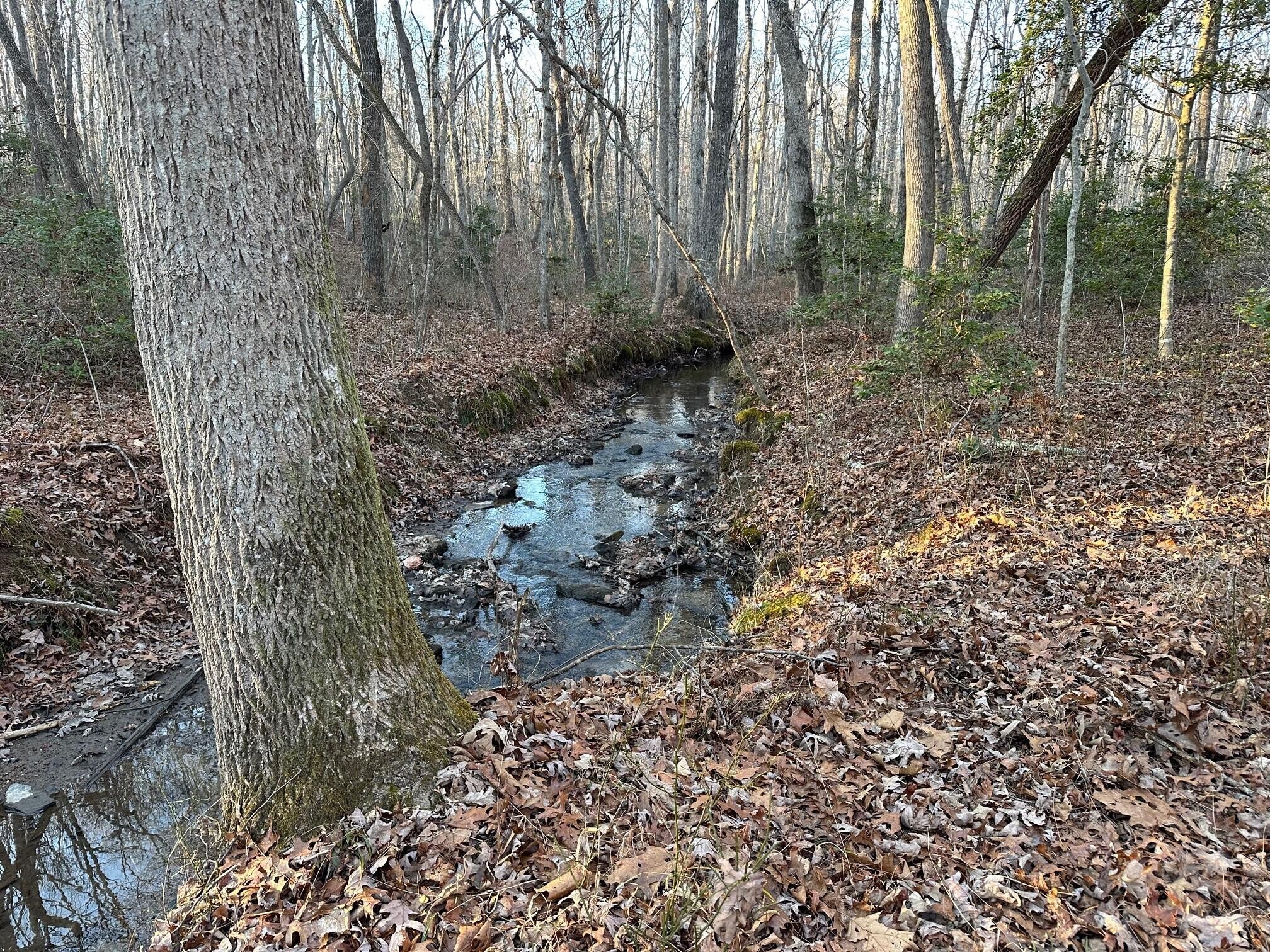 4 Newt Meeks Road Tracy City, TN 37387 - Photo 2 of 5 Gallery Image 2