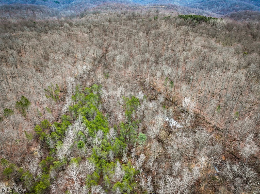 13 Ayers Ridge Lower Salem, OH 45745 - Photo 23 of 32 Bird's eye view of a heavily wooded area