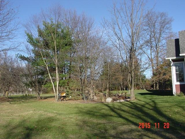 5999 Red Bank Road Galena, OH 43021 - Photo 6 of 44 Gallery Image 6