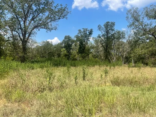 $250,000 | 0 Carroll Road, Richmond, TX 77469