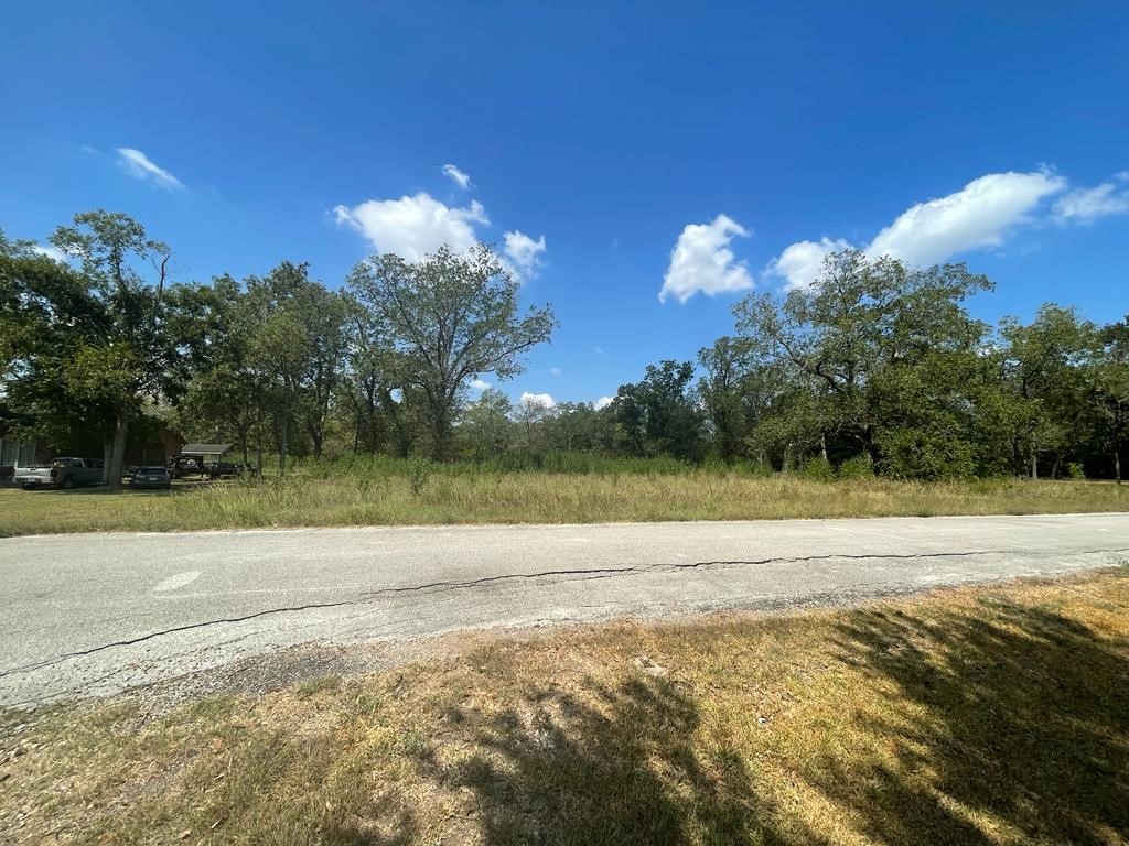 0 Carroll Road Richmond, TX 77469 - Photo 2 of 7