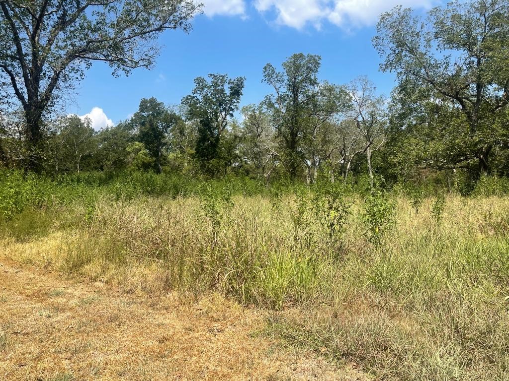 0 Carroll Road Richmond, TX 77469 - Photo 3 of 7