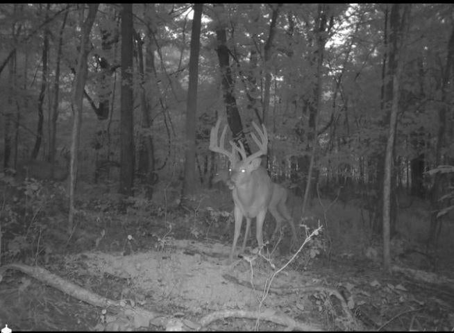 Lot 11 Hamilton-lee Road Lewisburg, KY 42256 - Photo 40 of 44 Gallery Image 40