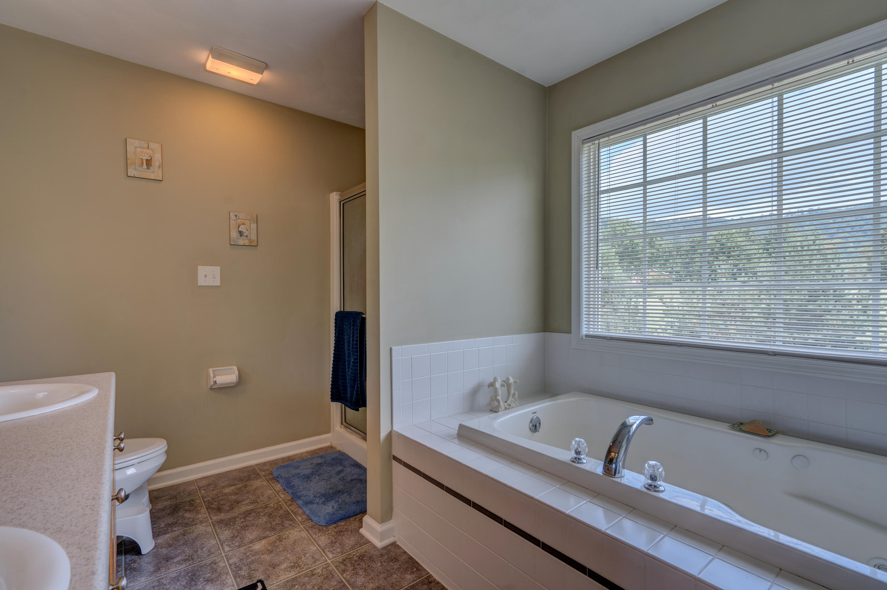 641 Castleridge Road Vinton, VA 24179 - Photo 24 of 38 DSC07831_2_3_4_5