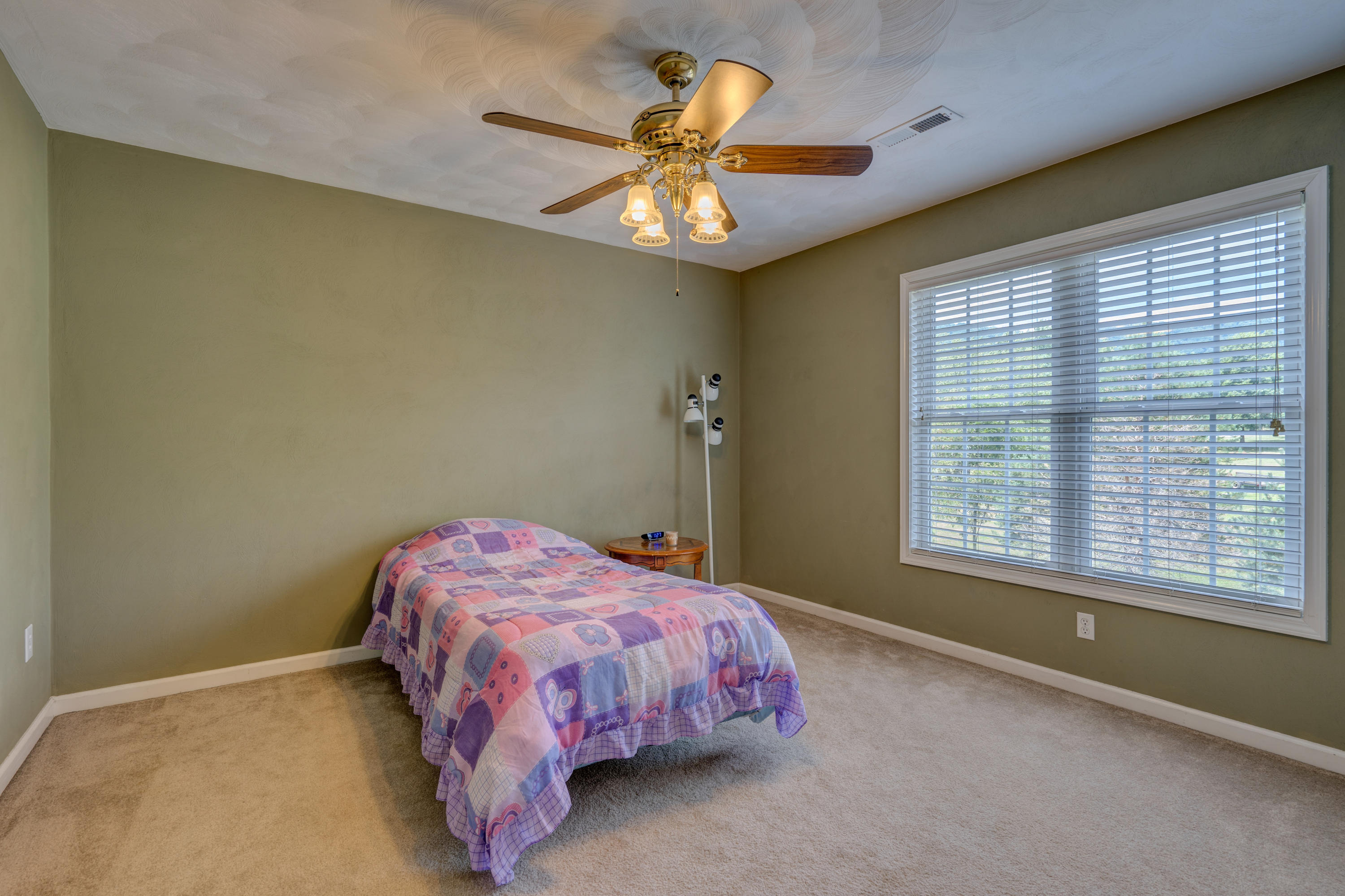 641 Castleridge Road Vinton, VA 24179 - Photo 27 of 38 DSC07851_2_3_4_5