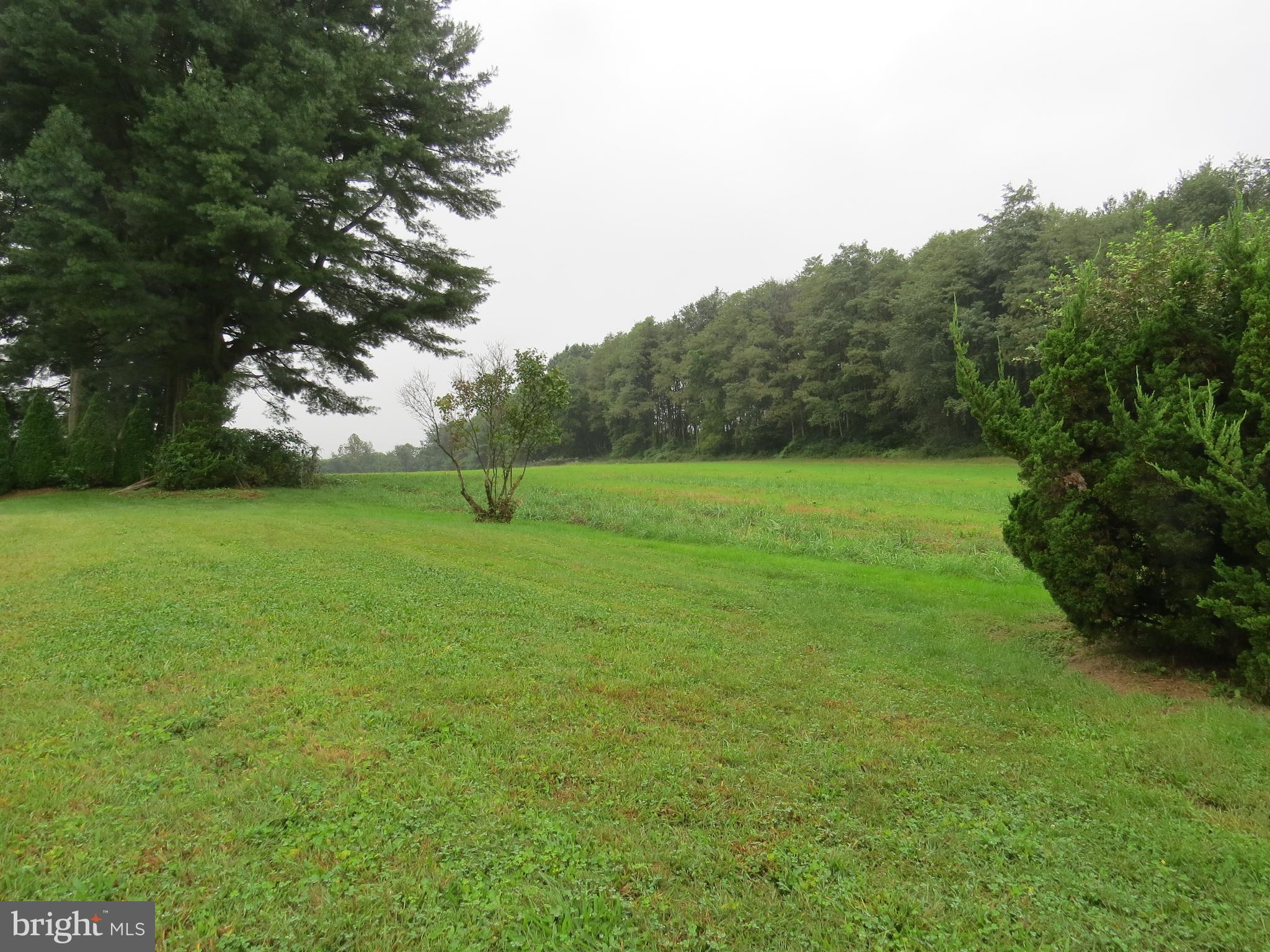 10 Oak Grove Road Pine Grove, PA 17963 - Photo 5 of 31 Gallery Image 5