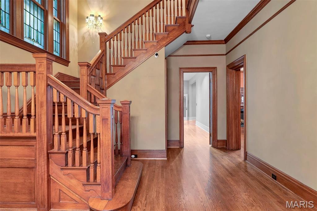 3125 Russell Boulevard St. Louis, MO 63104 - Photo 8 of 87