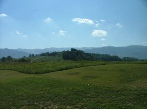 1797 Sentelle Road Greeneville, TN 37743 - Photo 6 of 9 Beautiful surroundings