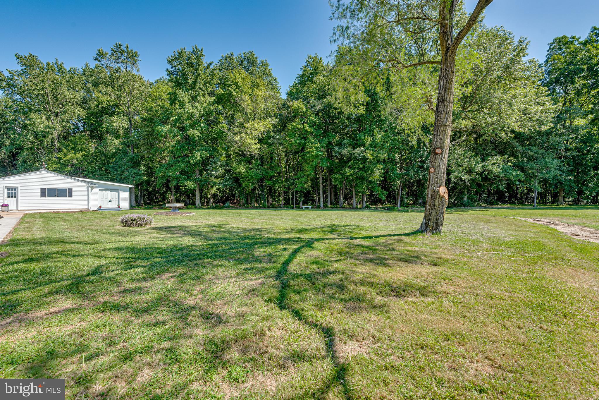 1519 Goldsboro Road Barclay, MD 21607 - Photo 55 of 68 Gallery Image 55
