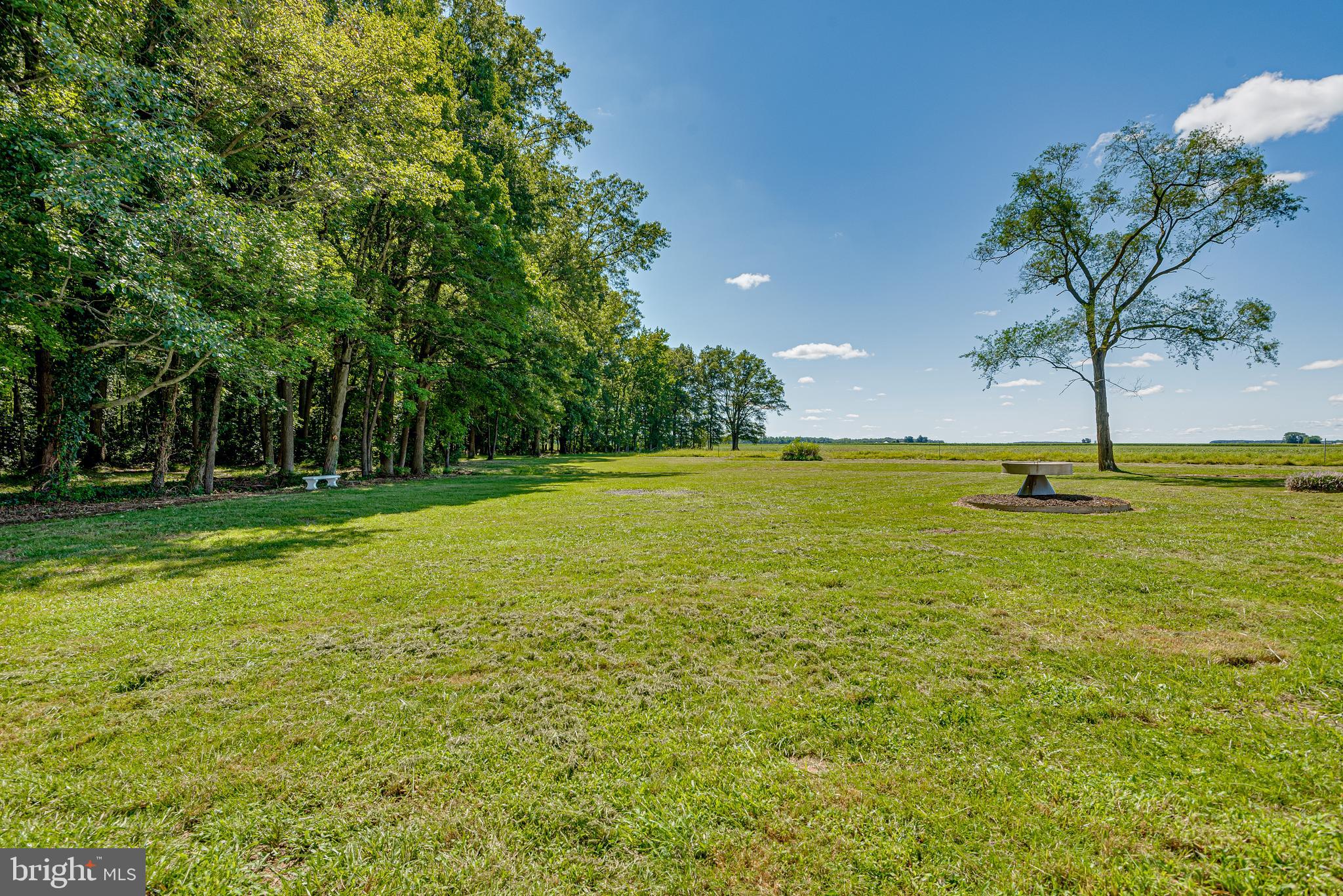 1519 Goldsboro Road Barclay, MD 21607 - Photo 62 of 68 Gallery Image 62