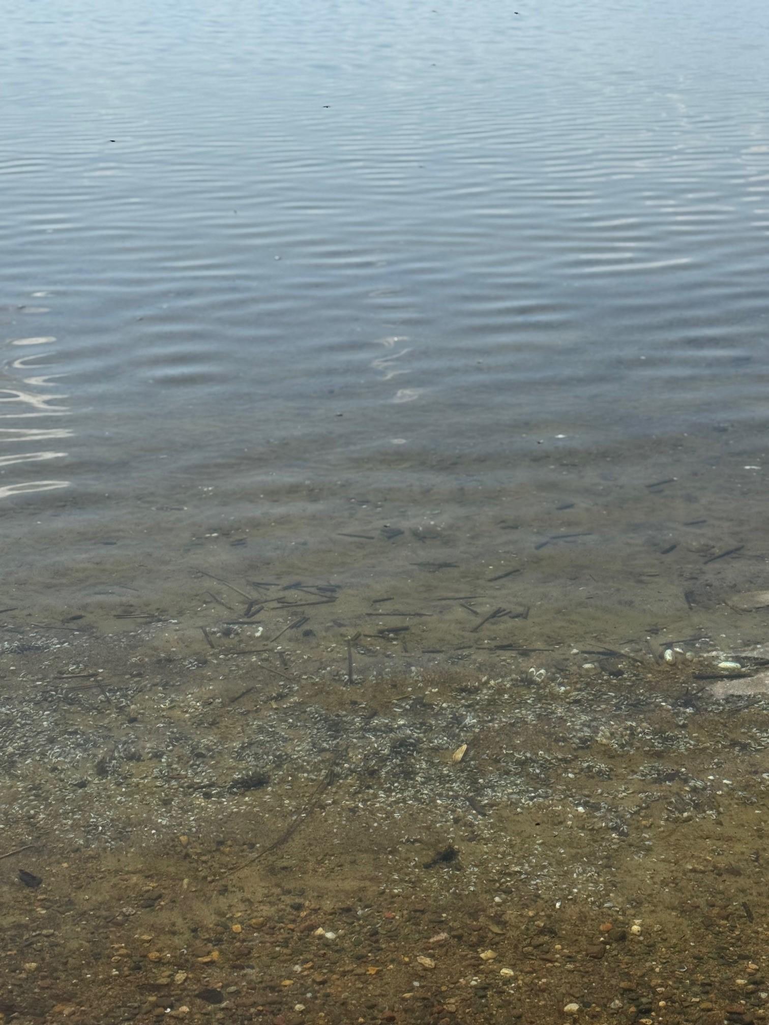 Tbd Lakeview Lane Merrifield, MN 56465 - Photo 2 of 4