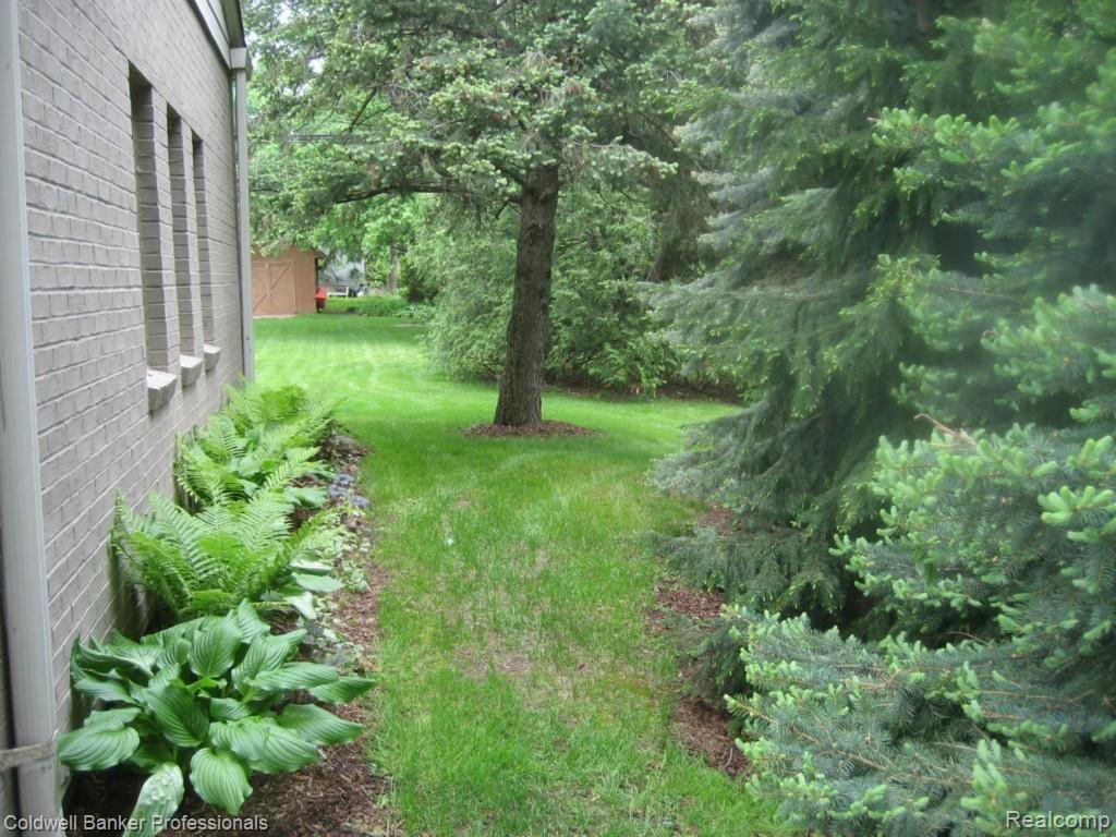 70 Stark Road Rochester, MI 48307 - Photo 25 of 35 Mature Evergreens