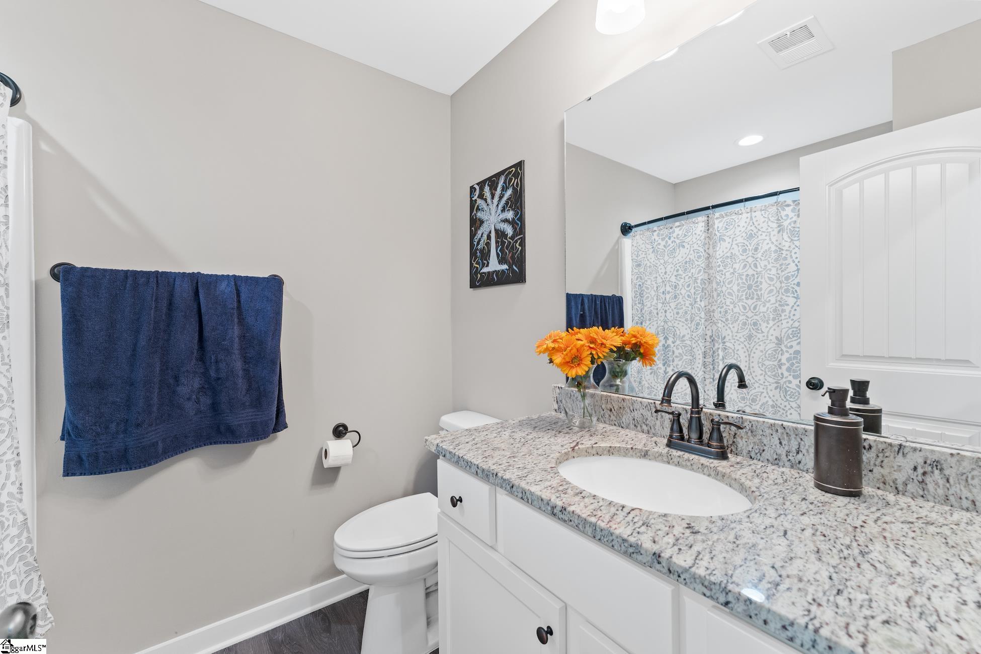 7545 Old Laurens Road Gray Court, SC 29645 - Photo 19 of 25 Gallery Image 19