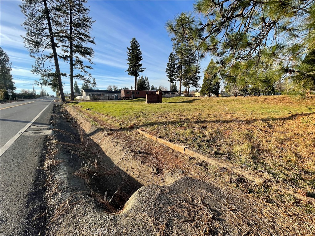 1573 Bille Road Paradise, CA 95969 - Photo 12 of 28 a view of a yard with an trees